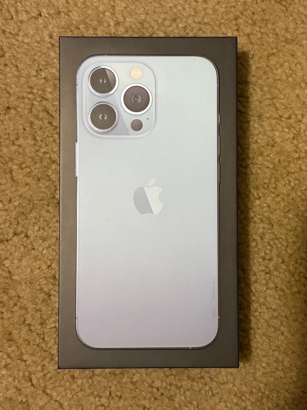 iPhone 13 Pro Empty Box